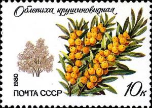 Colnect-3996-512-Sea-buckthorn.jpg