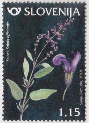 Colnect-4820-986-Sage-Salvia-officinalis.jpg