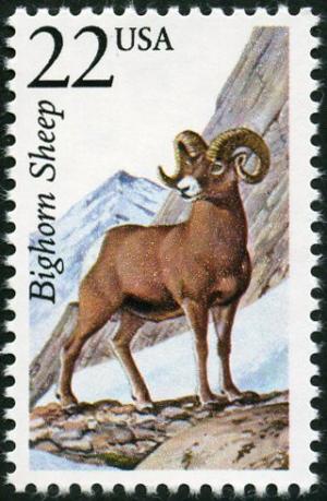 Colnect-4848-553-Bighorn-Sheep-Ovis-canadensis.jpg