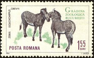 Colnect-5042-226-Grevy--s-Zebra-Equus-grevyi.jpg