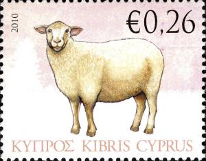 Colnect-5159-157-Domestic-Sheep-Ovis-ammon-aries.jpg