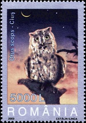 Colnect-5177-722-Common-Scops-Owl-Otus-scops.jpg