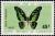 Colnect-1004-849-Electric-Green-Swordtail-Papilio-tynderaeus.jpg