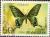 Colnect-1107-909-Alpine-Black-Swallowtail-Papilio-maackii.jpg
