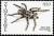 Colnect-5404-856-Baboon-Spider-Harpactira-sp.jpg