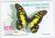 Colnect-767-560-Electric-Green-Swordtail-Papilio-tynderaeus.jpg