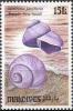 Colnect-1460-012-Common-Purple-Sea-Snail-Janthina-janthina.jpg