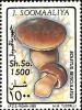 Colnect-3808-666-Stone-mushroom.jpg