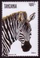Colnect-1702-813-Grevy-s-Zebra-Equus-grevyi.jpg