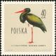 Colnect-2665-766-Black-Stork-Ciconia-nigra.jpg