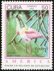 Colnect-3570-099-Roseate-Spoonbill-Ajaja-ajaja.jpg