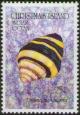Colnect-3885-573-Bumblebee-Snail-Engina-mendicaria.jpg