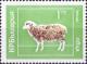 Colnect-4024-241-Domestic-Sheep-Ovis-ammon-aries.jpg