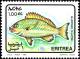 Colnect-6187-128-Bluestripe-Snapper-Lutjanus-kasmira.jpg