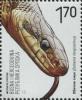 Colnect-5876-795-Aesculapian-Snake-Zamenis-longissimus.jpg