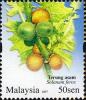 Colnect-614-126-Solanum-ferox.jpg