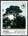 Colnect-3283-392-Brazil-nut-tree-Bertholletia-excelsa.jpg