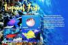 Colnect-6053-855-Tropical-Fish.jpg
