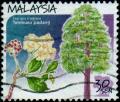 Colnect-1052-751-Malaysian-Trees--Fagraea-fragrans.jpg