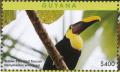 Colnect-4634-619-Yellow-throated-Toucan----Ramphastos-ambiguus.jpg