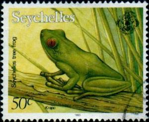 Colnect-2049-717-Seychelles-Tree-Frog-Sooglossus-sp-.jpg