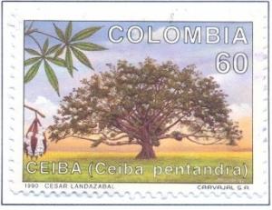 Colnect-2498-455-Kapok-tree-Ceiba-pentandra.jpg