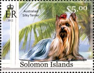 Colnect-2576-847-Australian-Silky-Terrier-Canis-lupus-familiaris.jpg