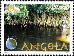 Colnect-2674-945-Mangroves-at-the-banks-of-Rio-Chiloango.jpg