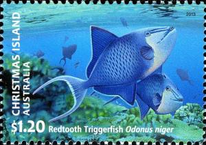 Colnect-2747-312-Red-toothed-Triggerfish-Odonus-niger-.jpg