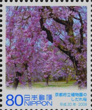 Colnect-4048-770-Weeping-Cherry-tree---Kyoto-Botanical-Garden.jpg