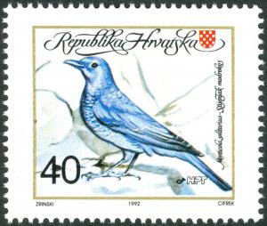 Colnect-5626-749-The-Blue-Rock-Thrush-Monticola-solitarius.jpg