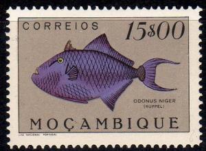 Colnect-595-007-Red-toothed-Triggerfish-Odonus-niger.jpg