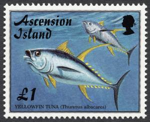 Colnect-853-318-Yellowfin-Tuna-Thunnus-albacares.jpg