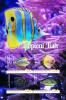 Colnect-5812-656-Tropical-Fish.jpg