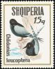Colnect-1473-827-White-winged-Tern-Chlidonias-leucoptera.jpg