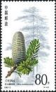 Colnect-713-391-Coniferous-trees-Abies-benhazuensis.jpg