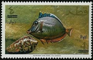 Colnect-2178-067-Orangespine-Unicornfish-Naso-lituratus.jpg