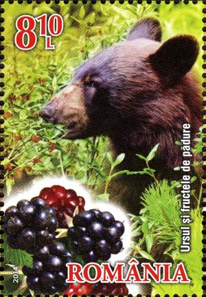 Colnect-2760-083-Brown-Bear-Ursus-arctos-Blackberries.jpg