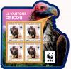 Colnect-4808-604-Lappet-faced-Vulture-Torgos-tracheliotos.jpg