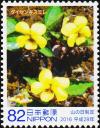 Colnect-5829-258-Daisen-Yellow-Violet-Viola-Brevistipulata.jpg