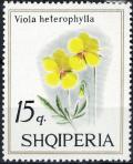 Colnect-5562-957-Yellow-Violet-Viola-maculata.jpg