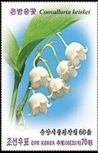 Colnect-5840-424-Lily-of-the-Valley-Convallaria-keiskei.jpg