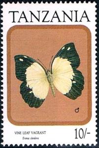 Colnect-2598-383-Vine-leaf-Vagrant-Eronia-cleodora.jpg