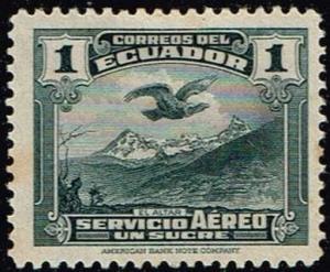 Colnect-2870-799-Andean-Condor-Vultur-gryphus-over-El-Altar.jpg