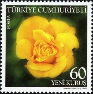 Colnect-948-106-Rose-Varieties---Yellow.jpg