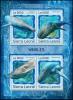 Colnect-5674-531-Various-Whales.jpg