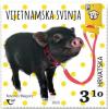 Colnect-6514-359-Vietnamese-Pig.jpg