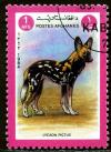 Colnect-2012-120-African-wild-dog-Lycaon-pictus.jpg