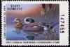 Colnect-205-474-American-Widgeon-Anas-americana.jpg