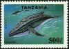 Colnect-5546-508-Whale-Cetacea.jpg